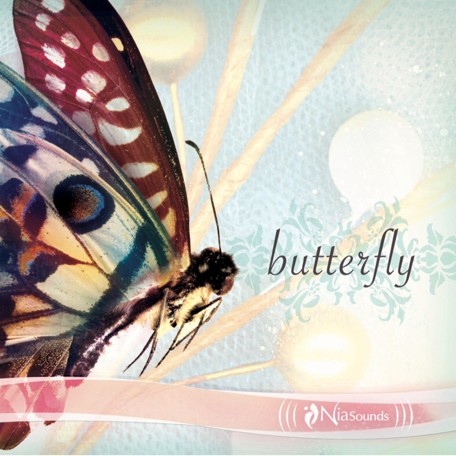 U give me Butterflies. Koan two Moon Butterflies CD. Feeling butterflies