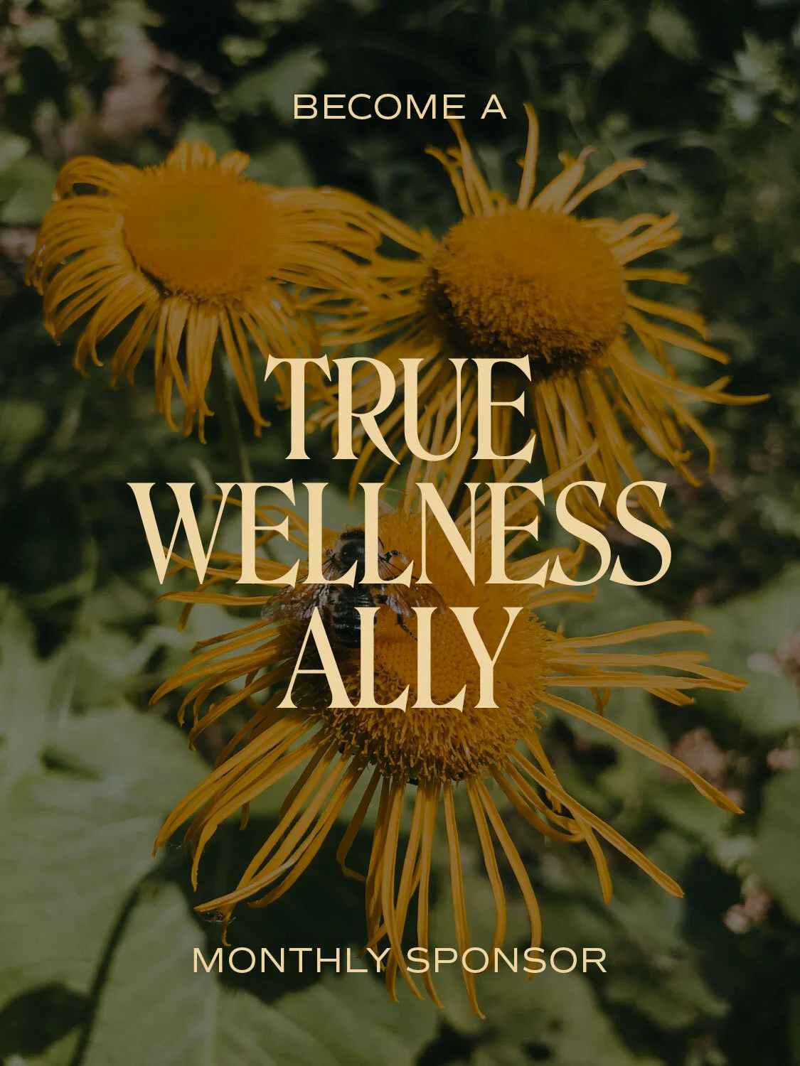 True Wellness Ally Monthly Sponsorship