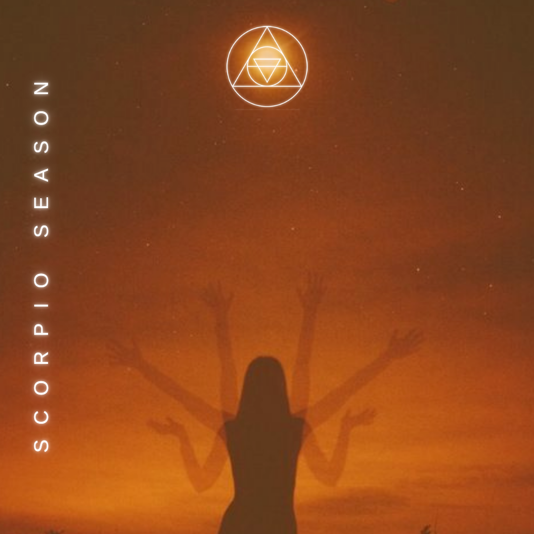 November's Cosmic Forecast: Endings + Rebirth