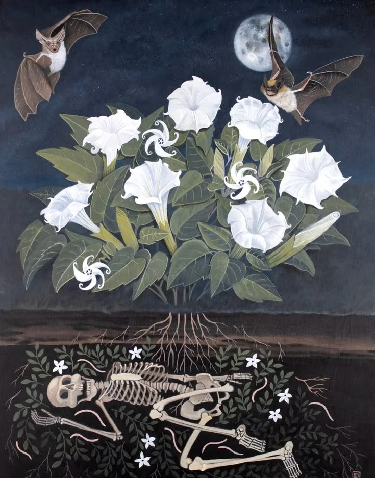 Full Moon Live Chat