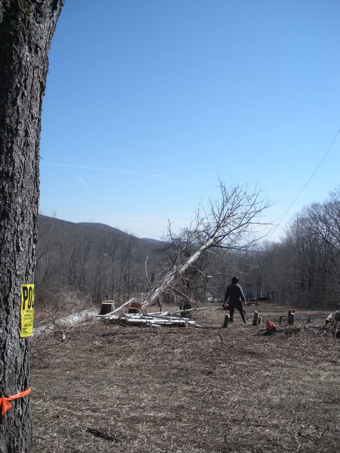 Site and locally-sourced materials - Berkshire Mountain Design Build, LLC