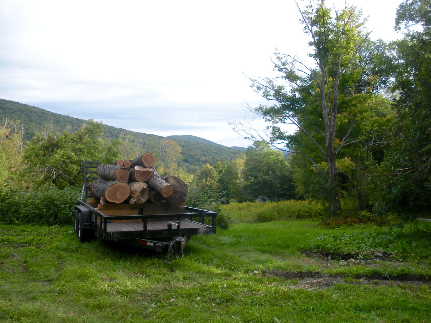 DSCN3542.jpg