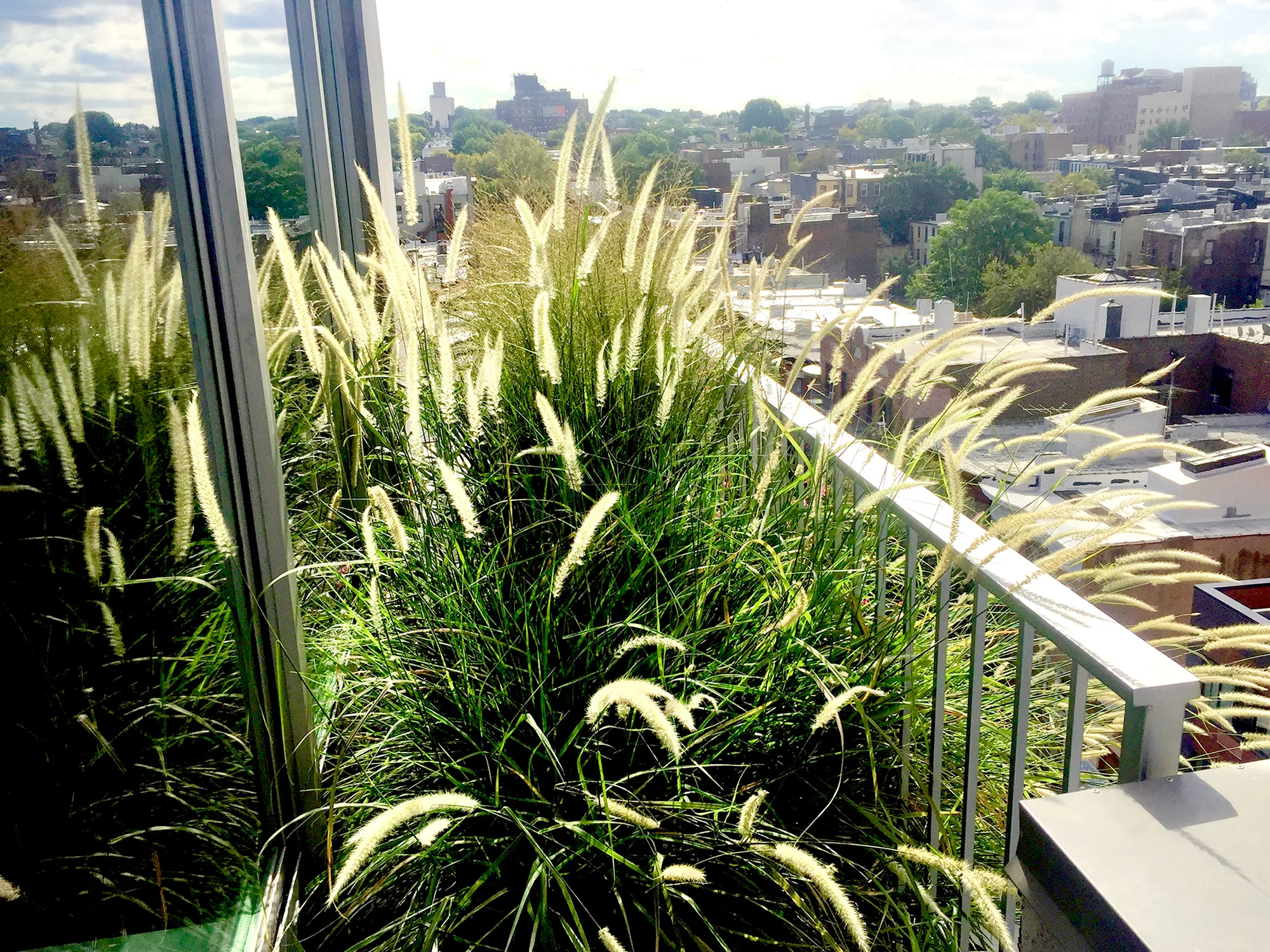 balcony.jpg