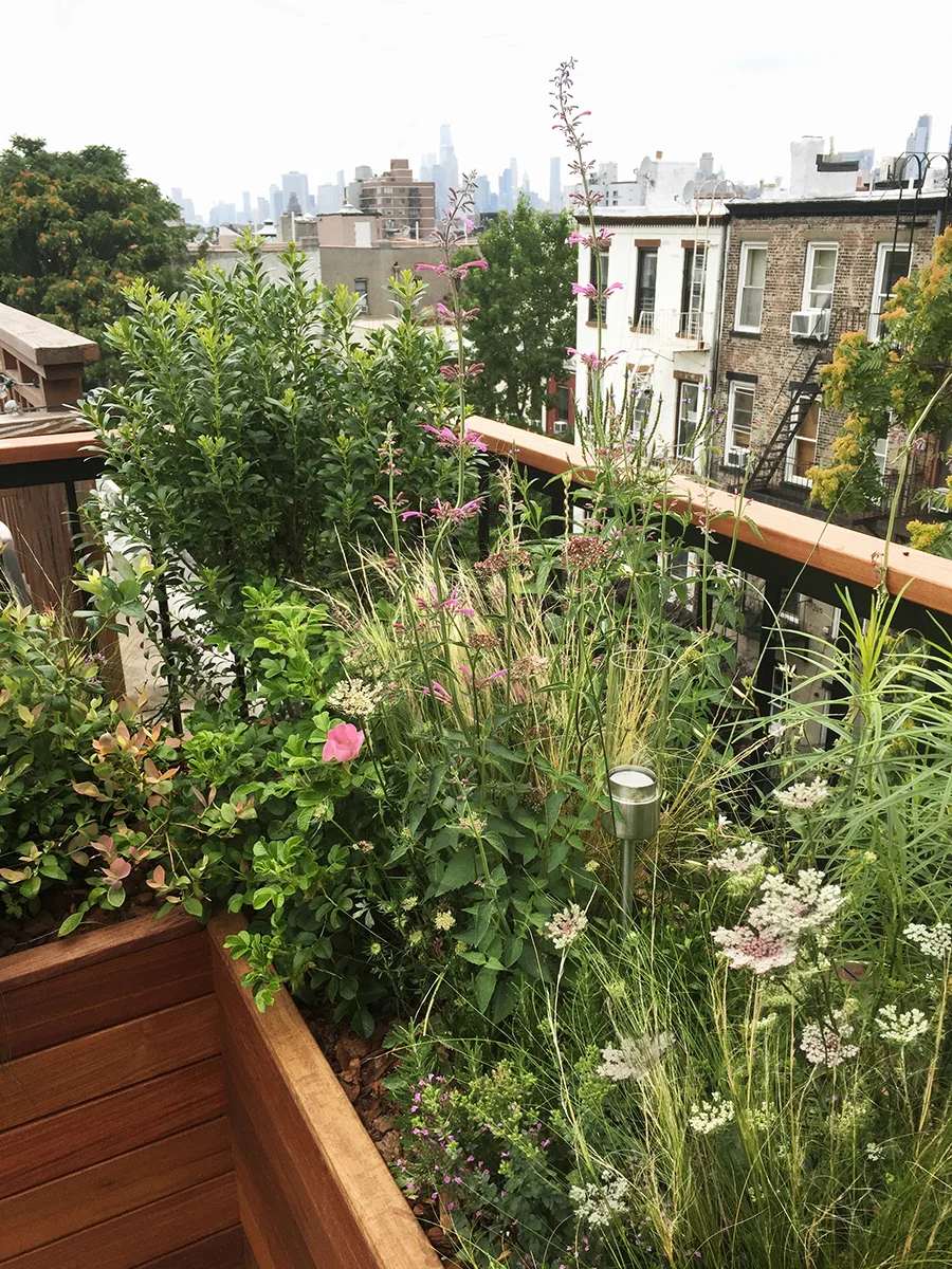 Yuka Plantings.jpg
