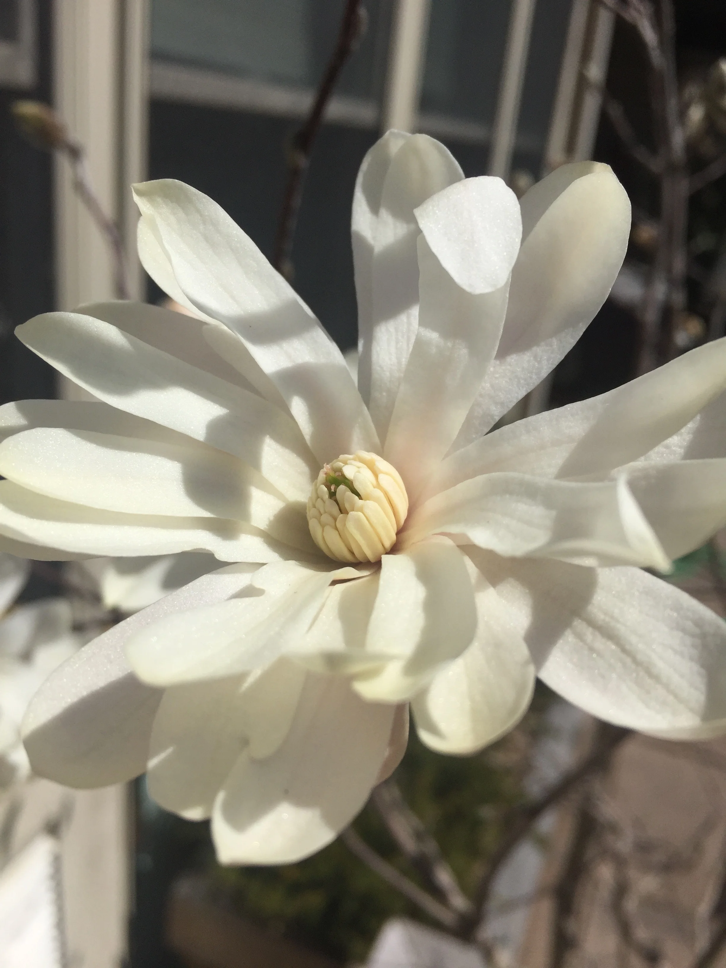 IMG_6141.jpeg