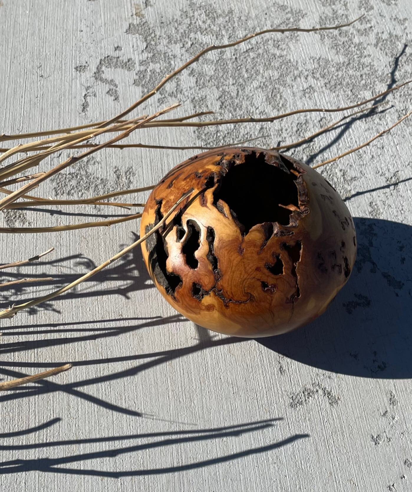 Playing with texture and shadow in the desert. Picked up this gorgeous wood &lsquo;vessel&rsquo; from @smwresmplce at #modernismweekpalmsprings. It was the earthiest thing I could find in a sea of lucite and chrome. ;) Lots of inspiration from Joshua