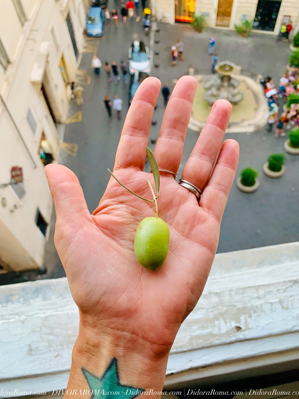 http://DivoraRoma.com - An All-inclusive Culinary Voyage Through