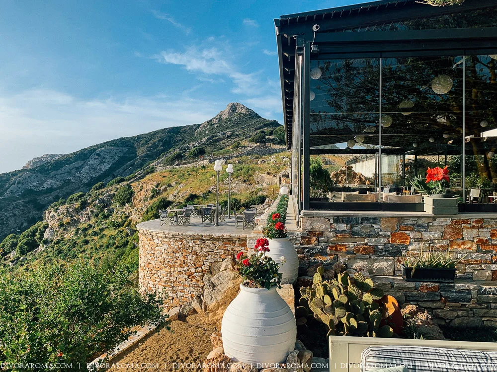 http://DivoraRoma.com - An All-inclusive Culinary Voyage Through