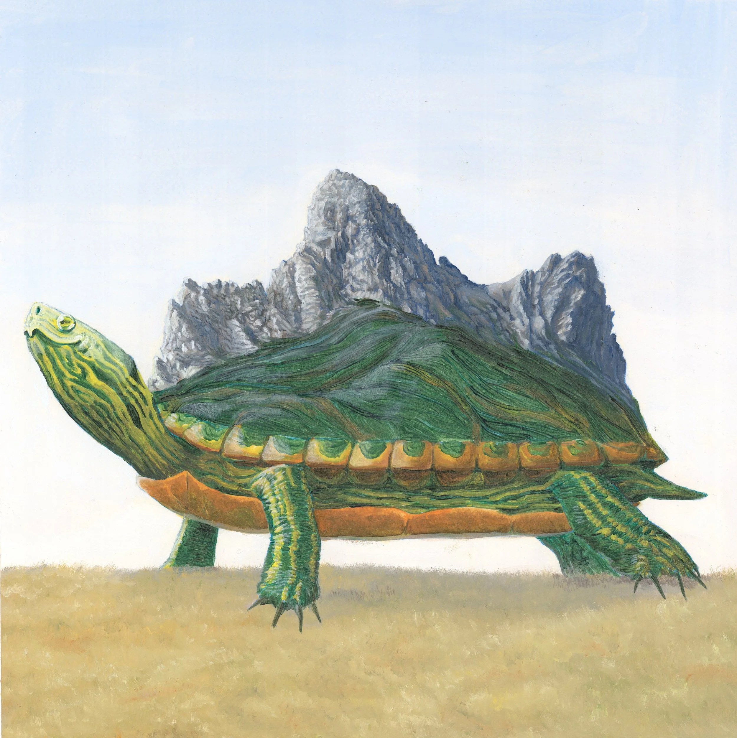 Teton Turtle Scan small.jpg