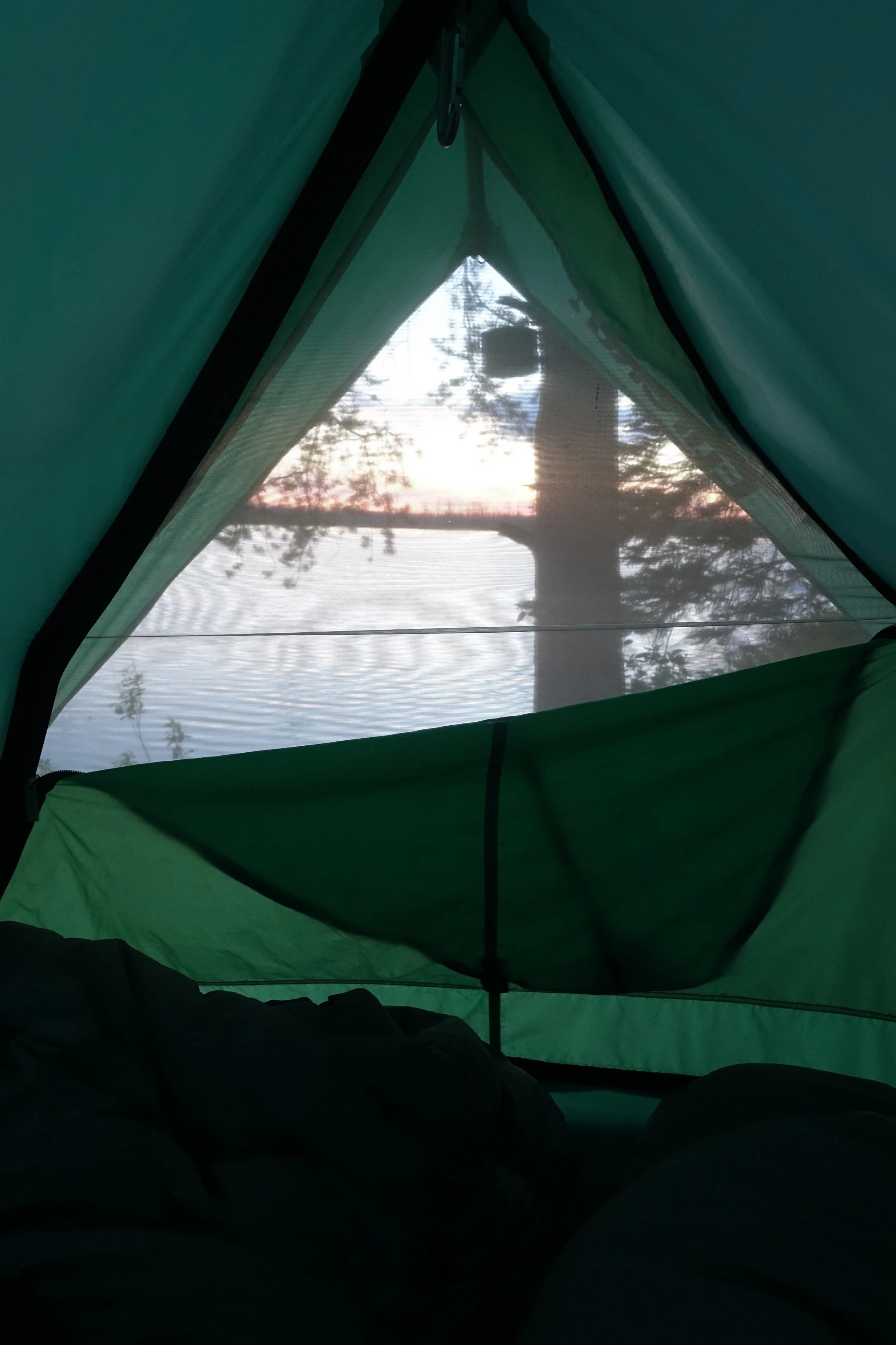 DSC01403.jpg