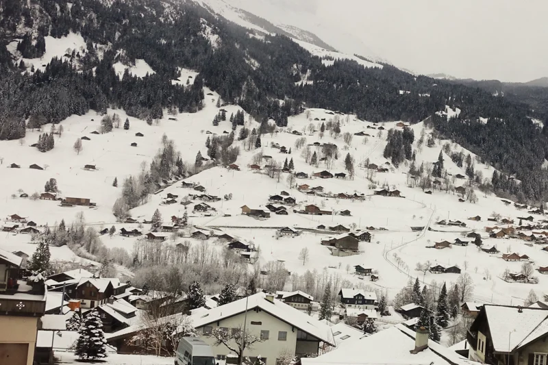View from the train