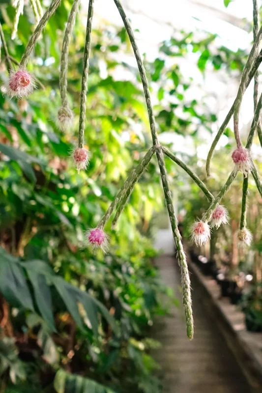 Botanical Garden