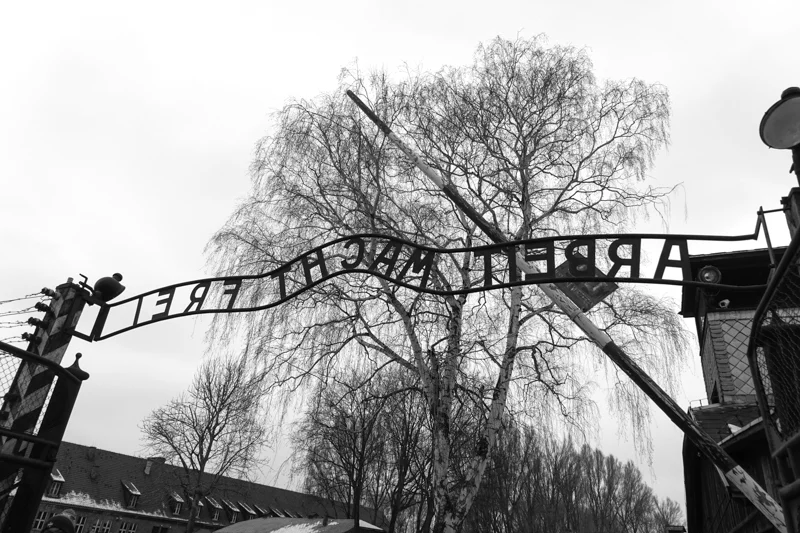 Auschwitz Gate reading "work sets you free"