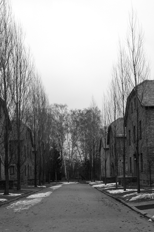 Auschwitz