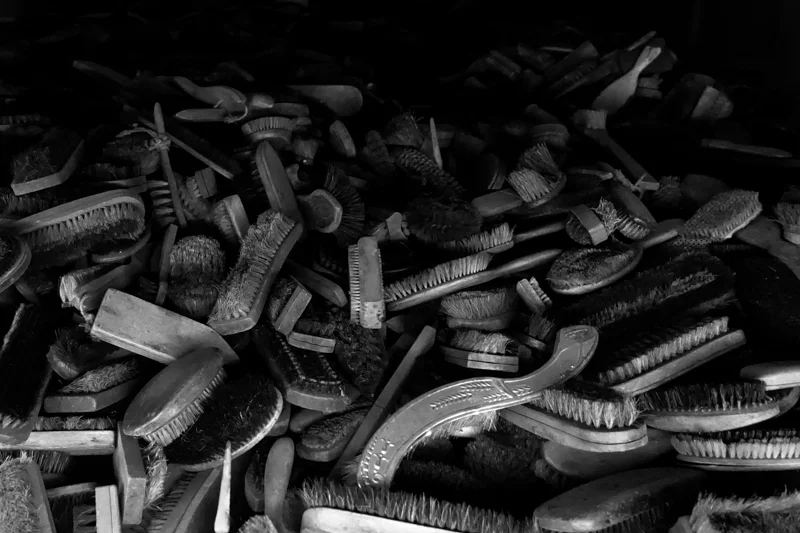 Auschwitz: hair brushes stolen from prisoners