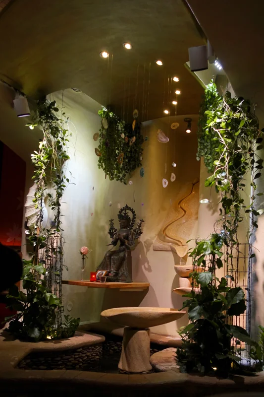 4.14.18. Maitrea: Best vegetarian restaurant I've been to