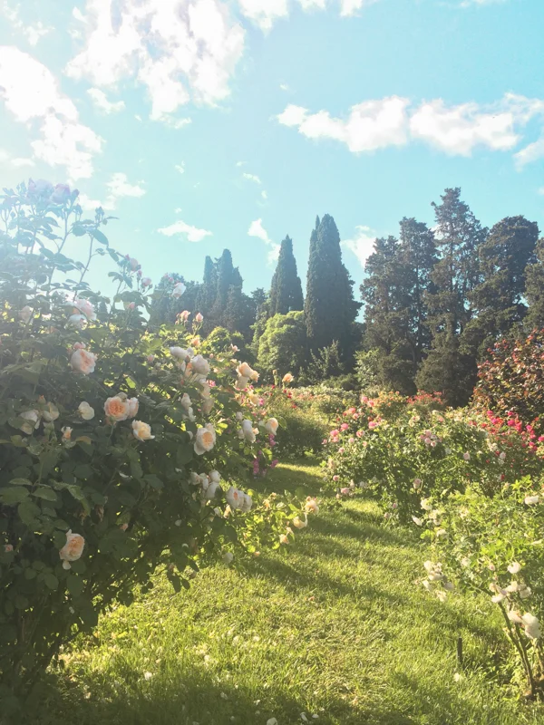 florence-4.jpg