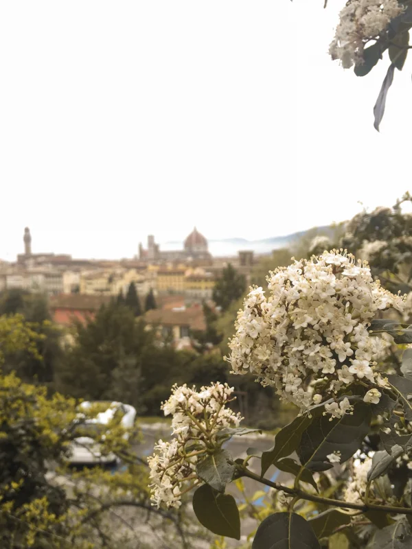 4.11.18. View from Piazza Michelangelo