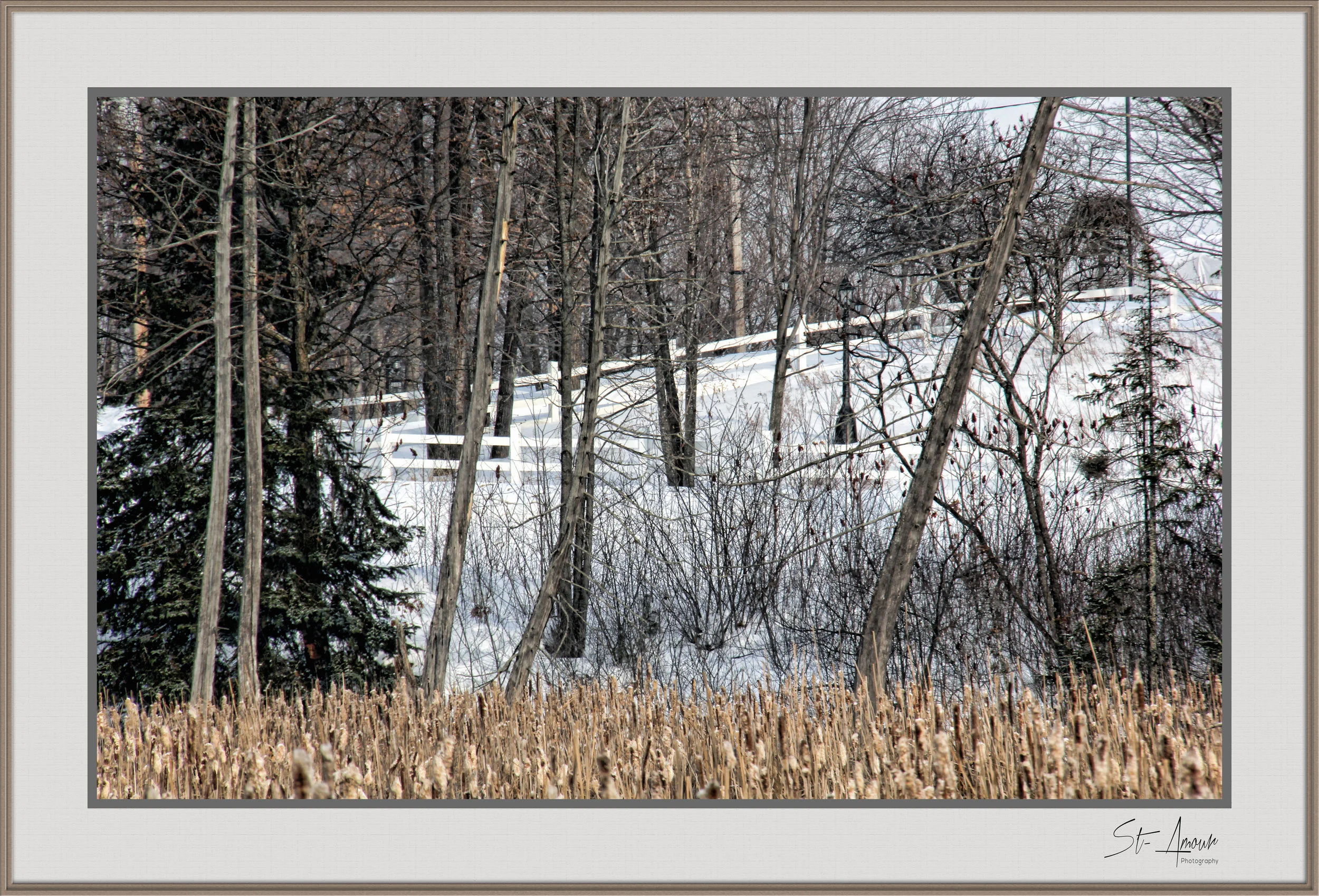 IMG_1217 WWW frame logo SM.jpg
