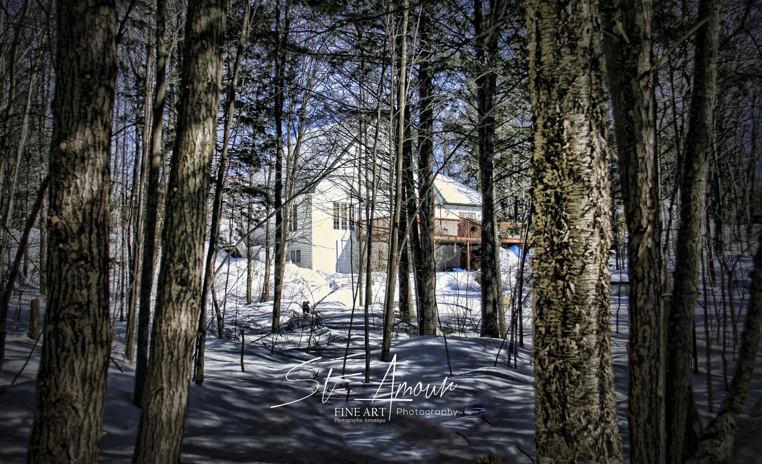 St-Amour++Fine+Art+Photography+1744+©2018+ST-EDU+Logo q.jpg