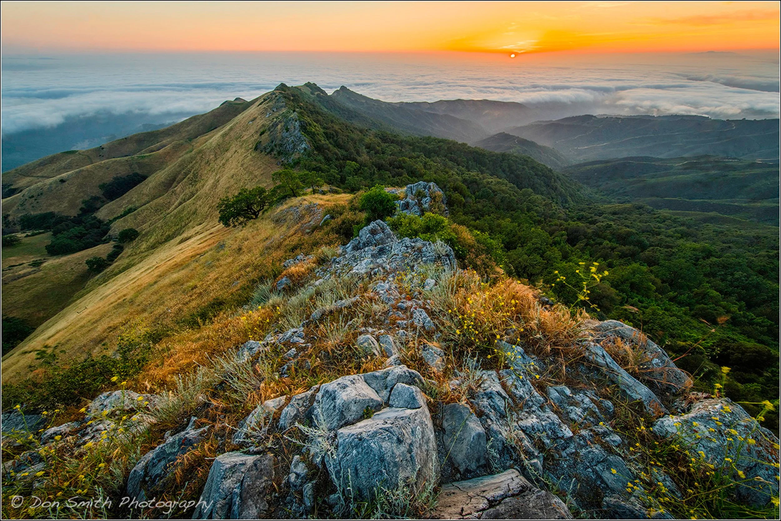 Cours 2 (29a (3).jpg