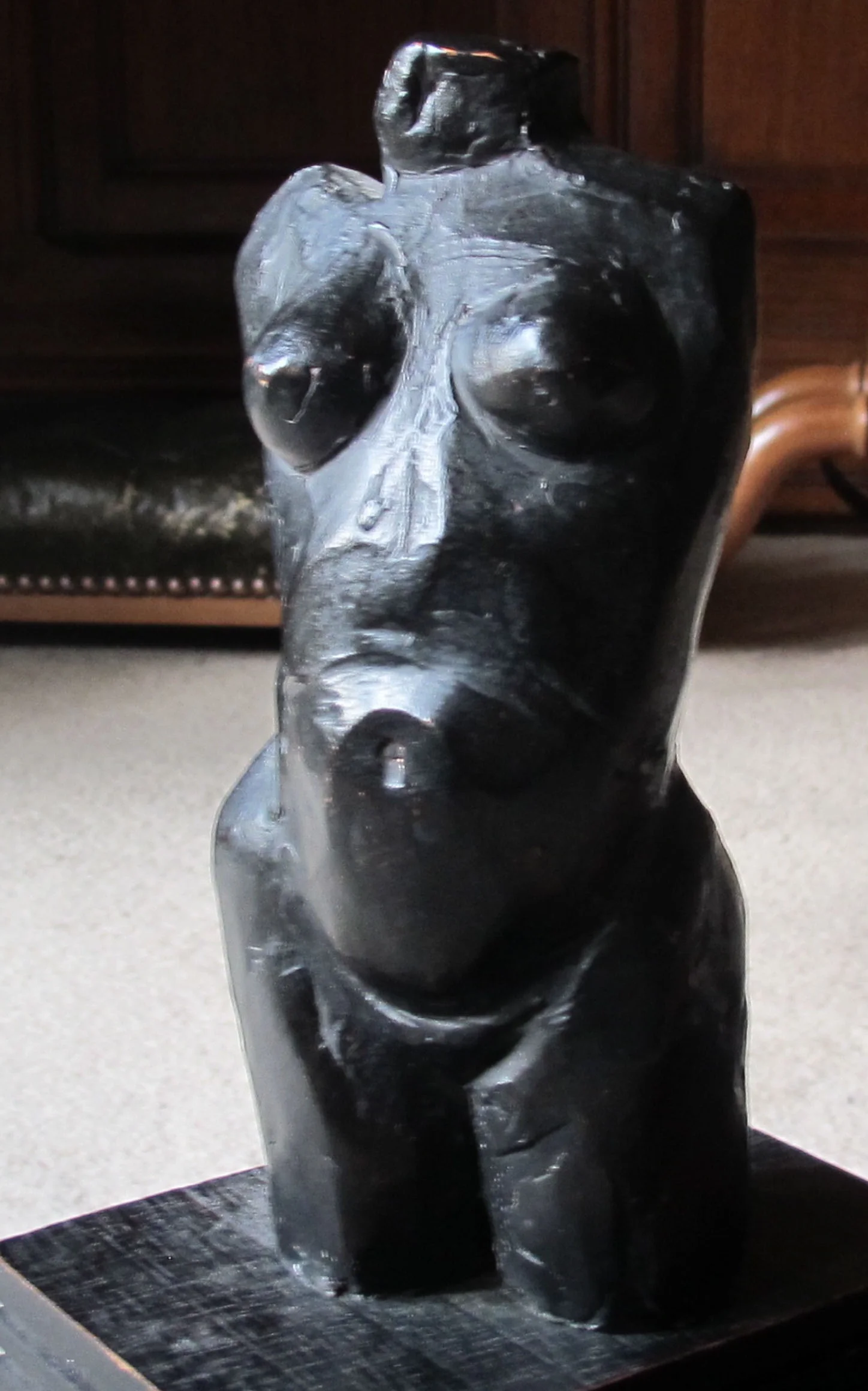 Torso