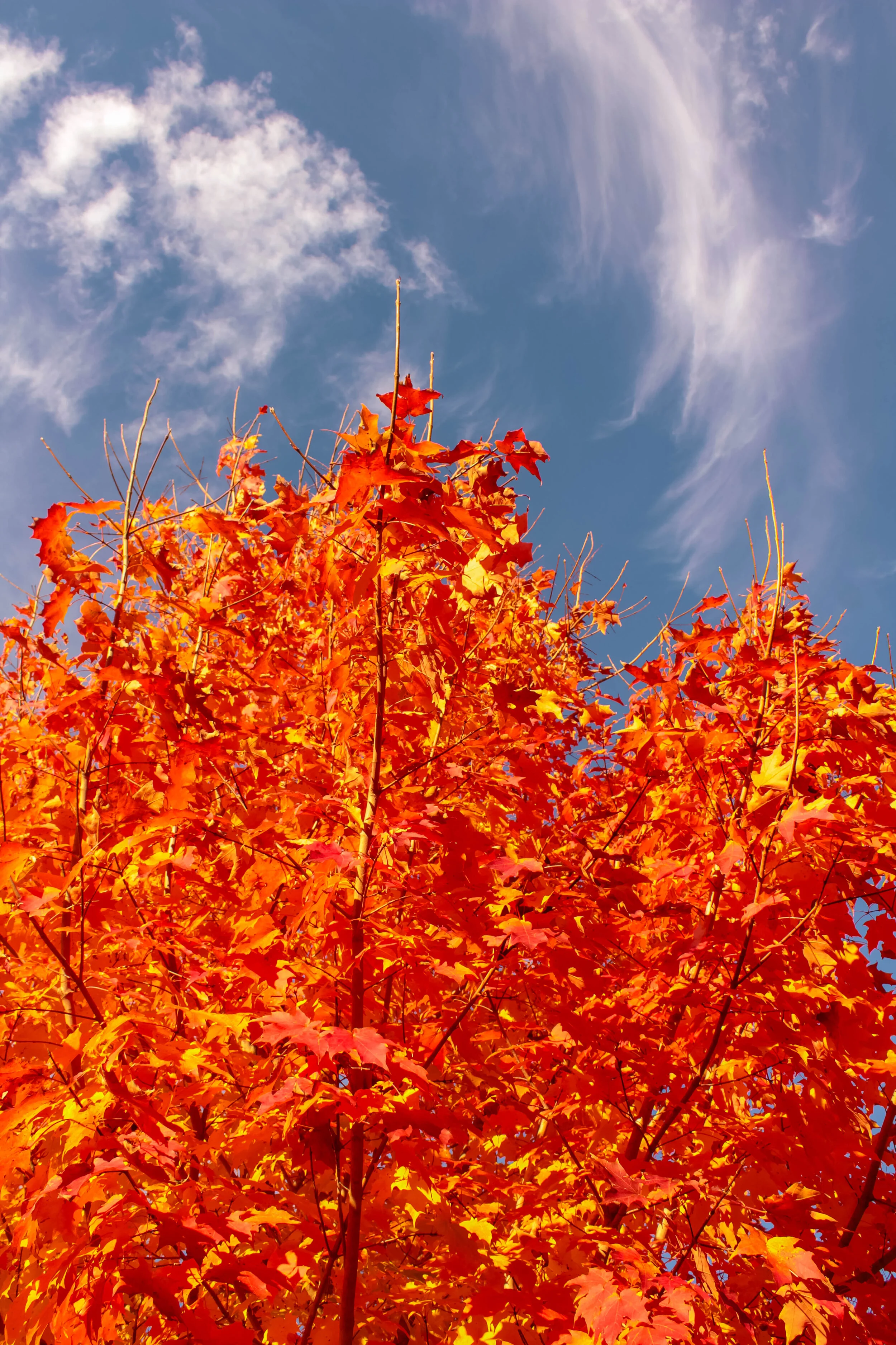 untitled-0827.JPG