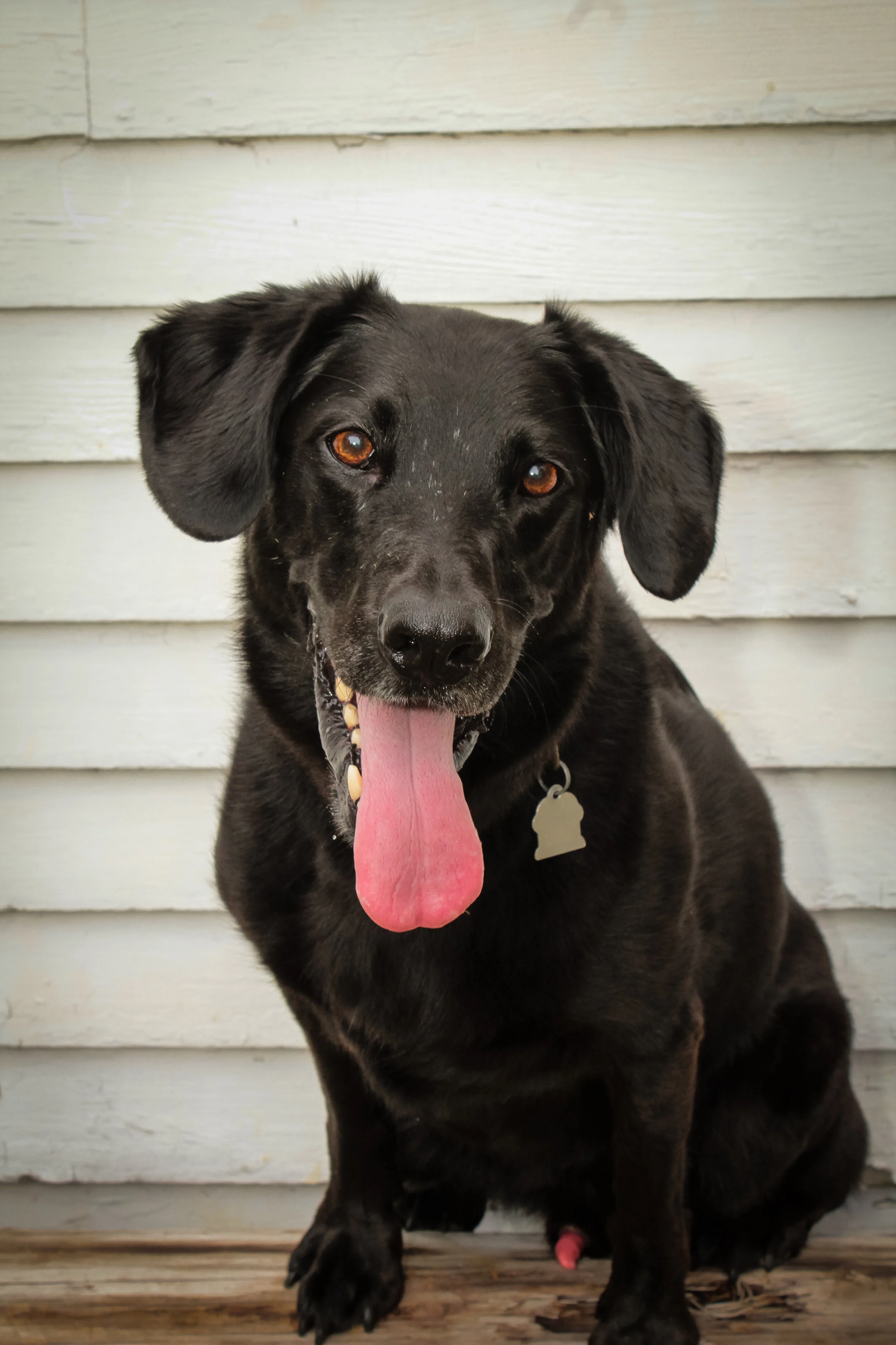 Davey's 2020 (103).JPG