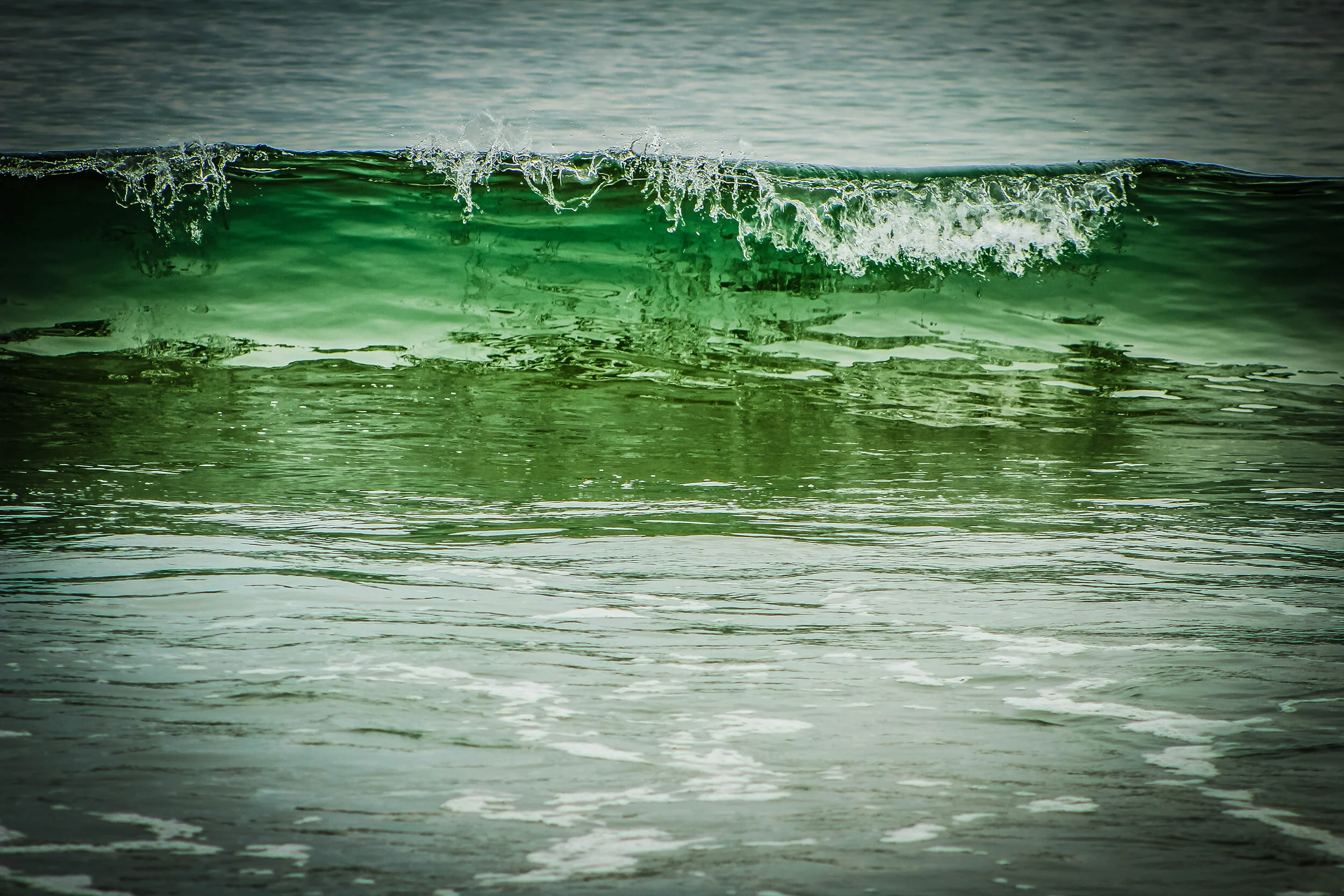 untitled-1429 - Copy.JPG