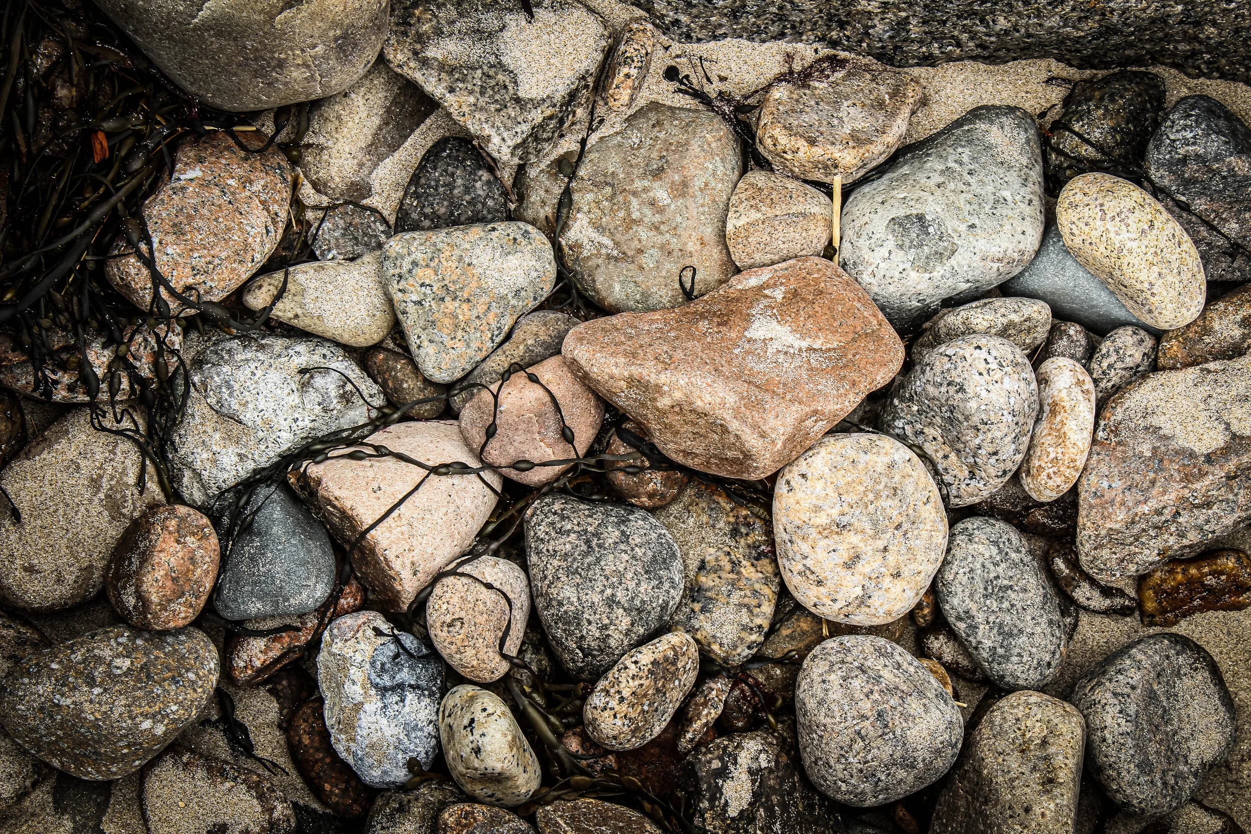 untitled-1400 - Copy.JPG