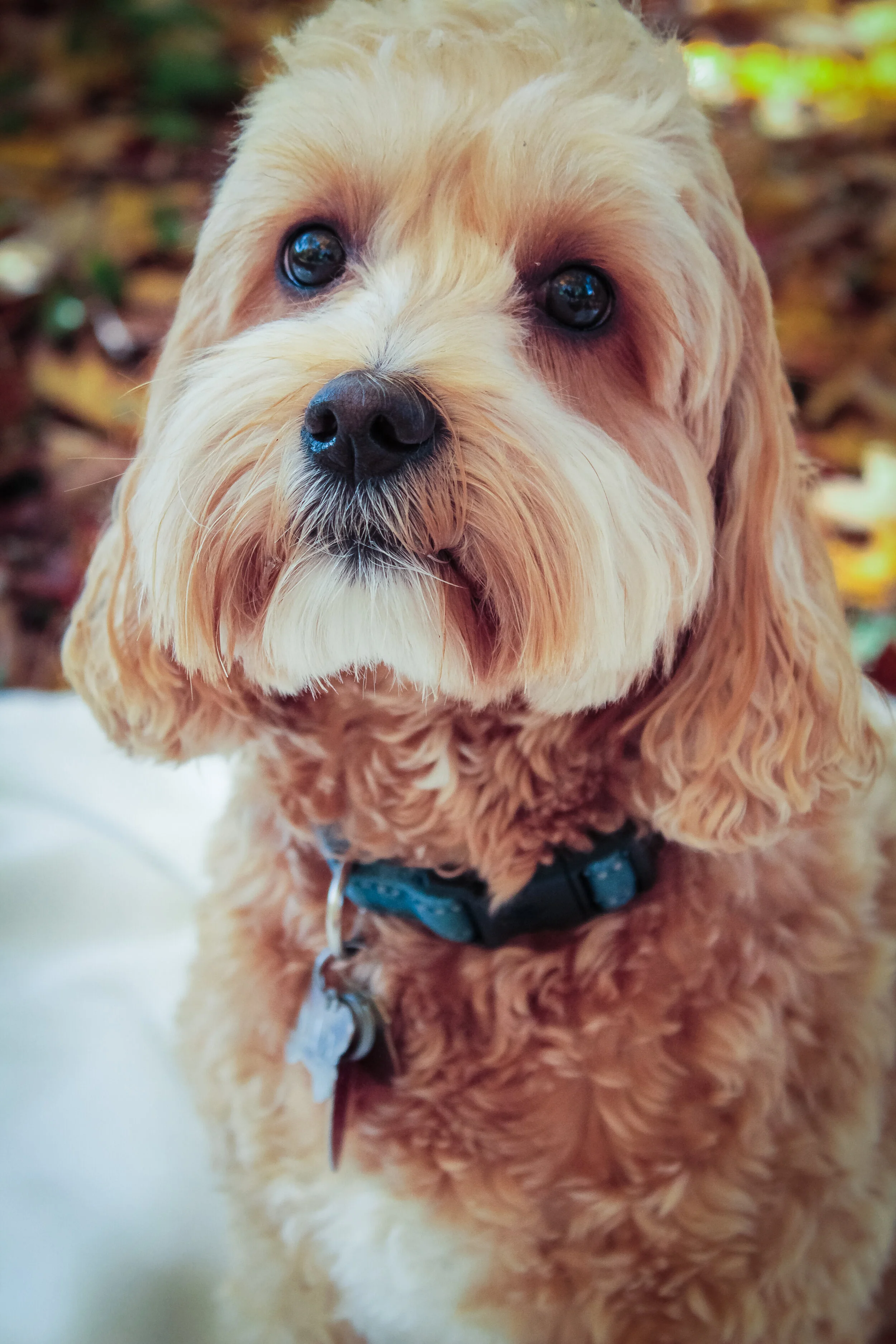 Matthew Martin (54).JPG