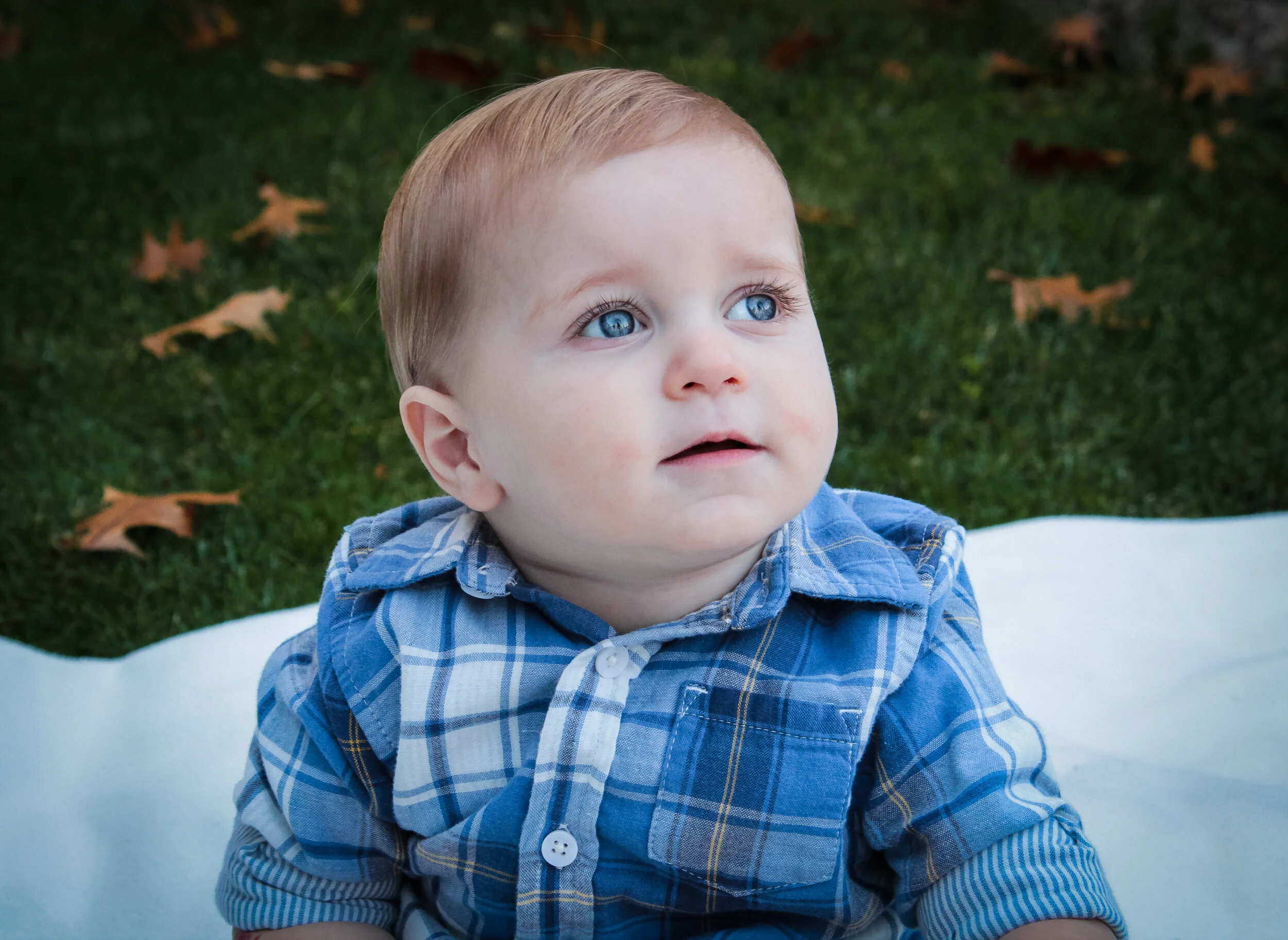 Carter 1 year (20).JPG