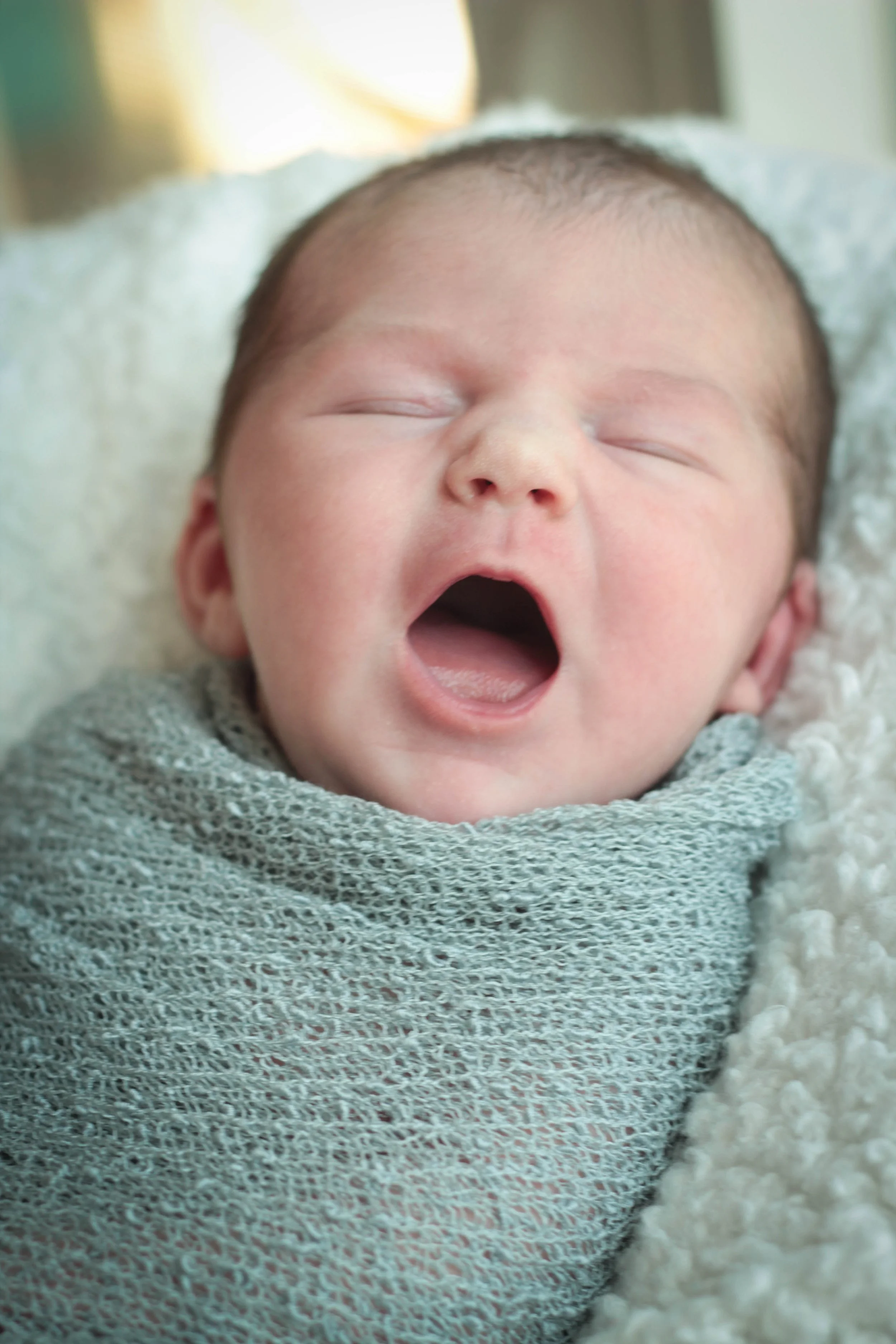 Harper Billie-8887.JPG