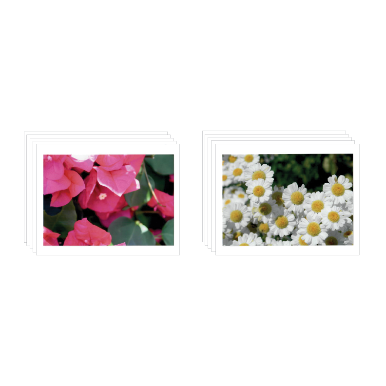 00170_flower_cards.png
