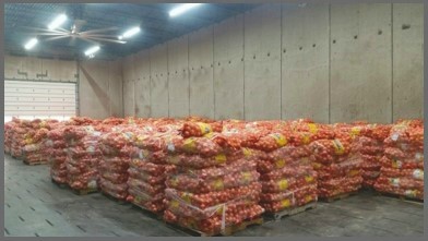 onions+drying+border.jpg