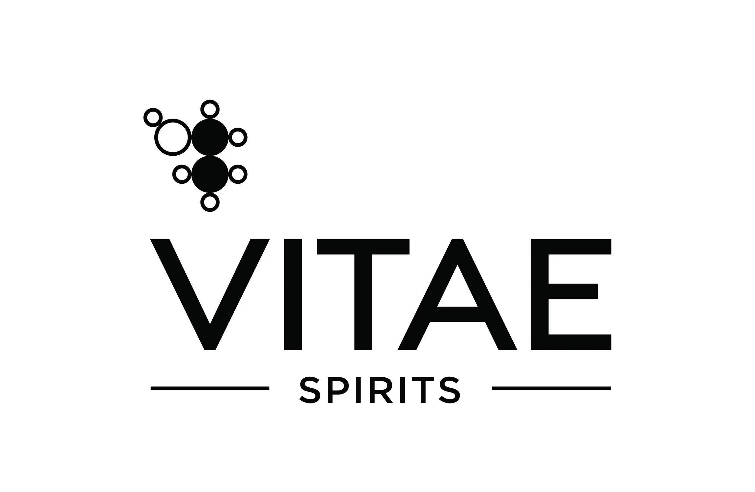 Vitae-PrimaryLogo squared_MzE3Mz.jpg