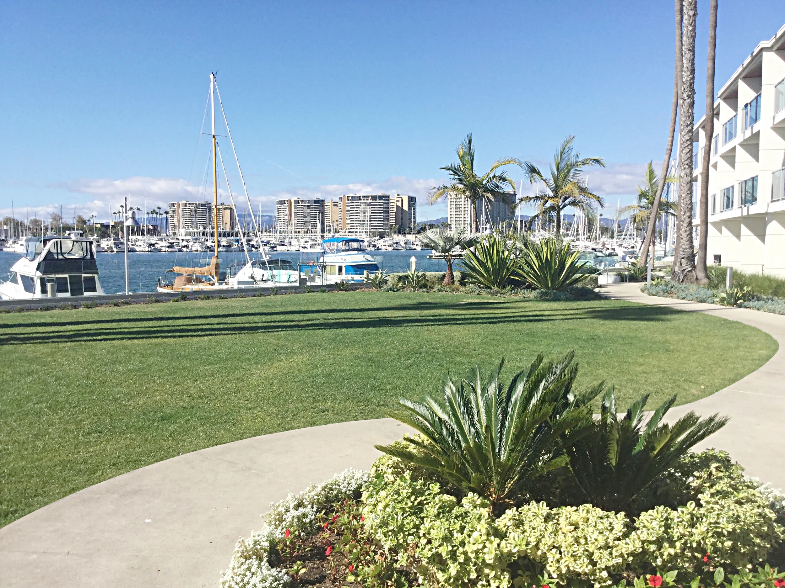 Marinaview.jpg