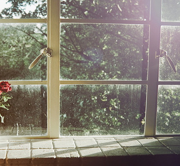 sunshinevasewindow-24bb3d27dfec7961125053eee06a9c69_h.jpg