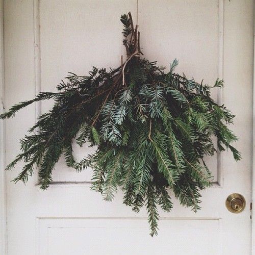 pine.jpg