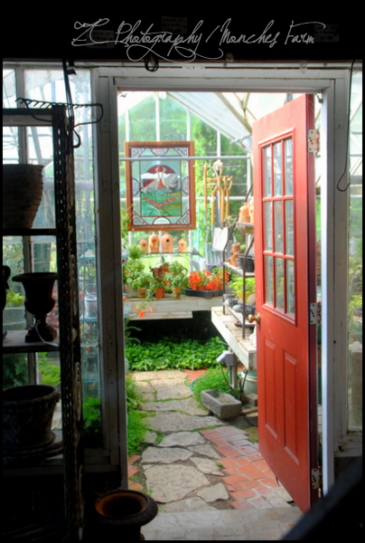 glasshouse door.JPG