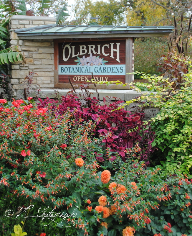 Olbrich (109)_WM.jpg