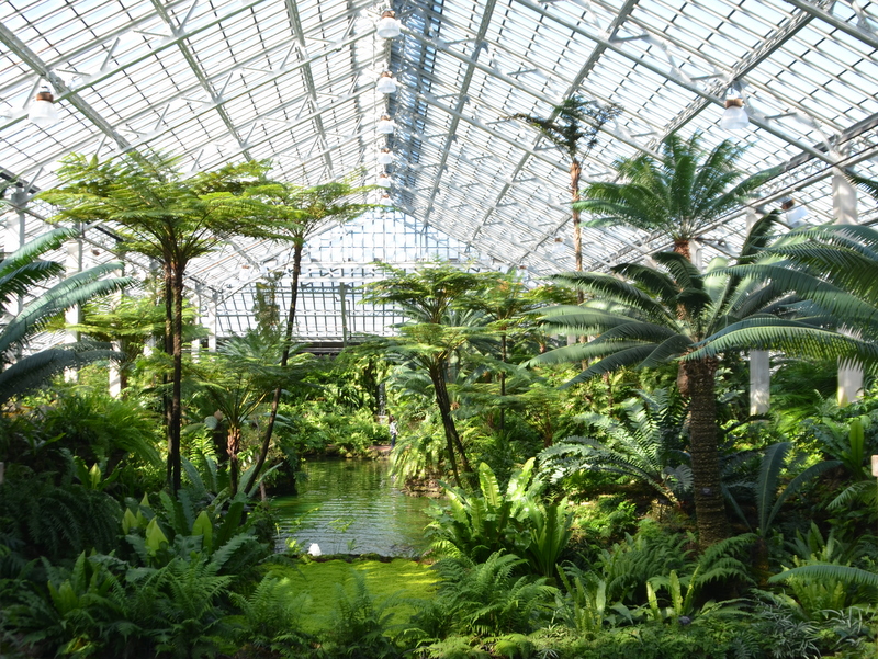 Garfield Park Conservatory_Chicago (18).JPG