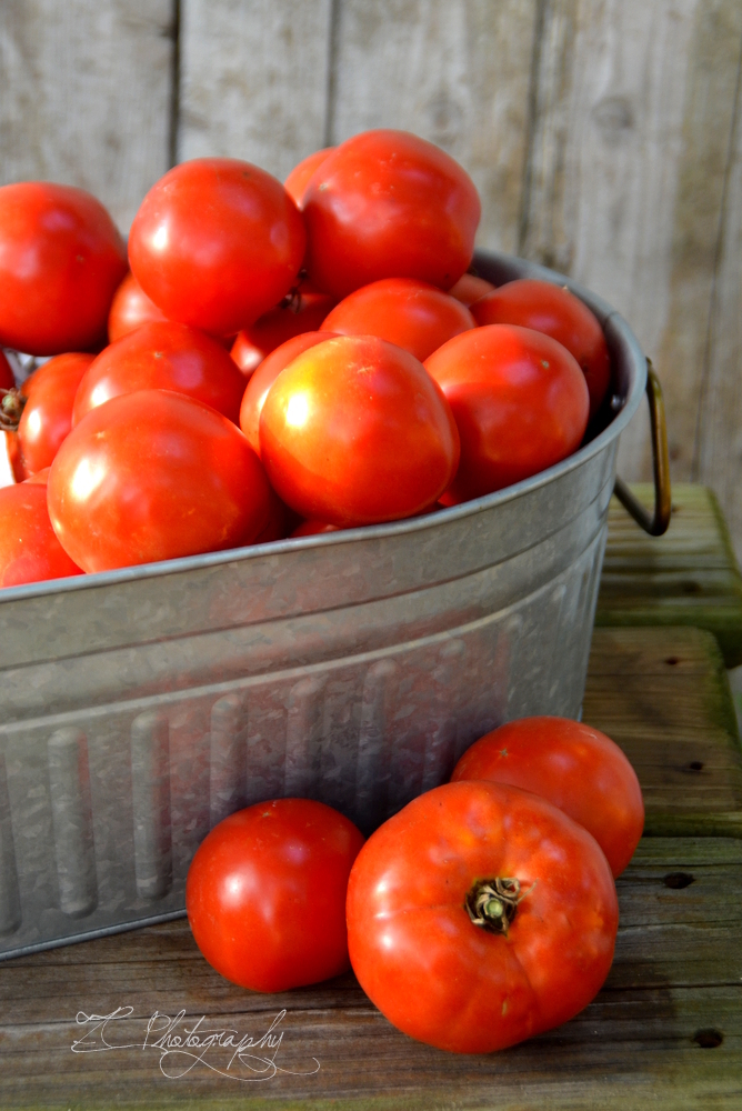 tomatoes (1) WM.JPG