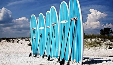 paddleboards2_resized.jpg