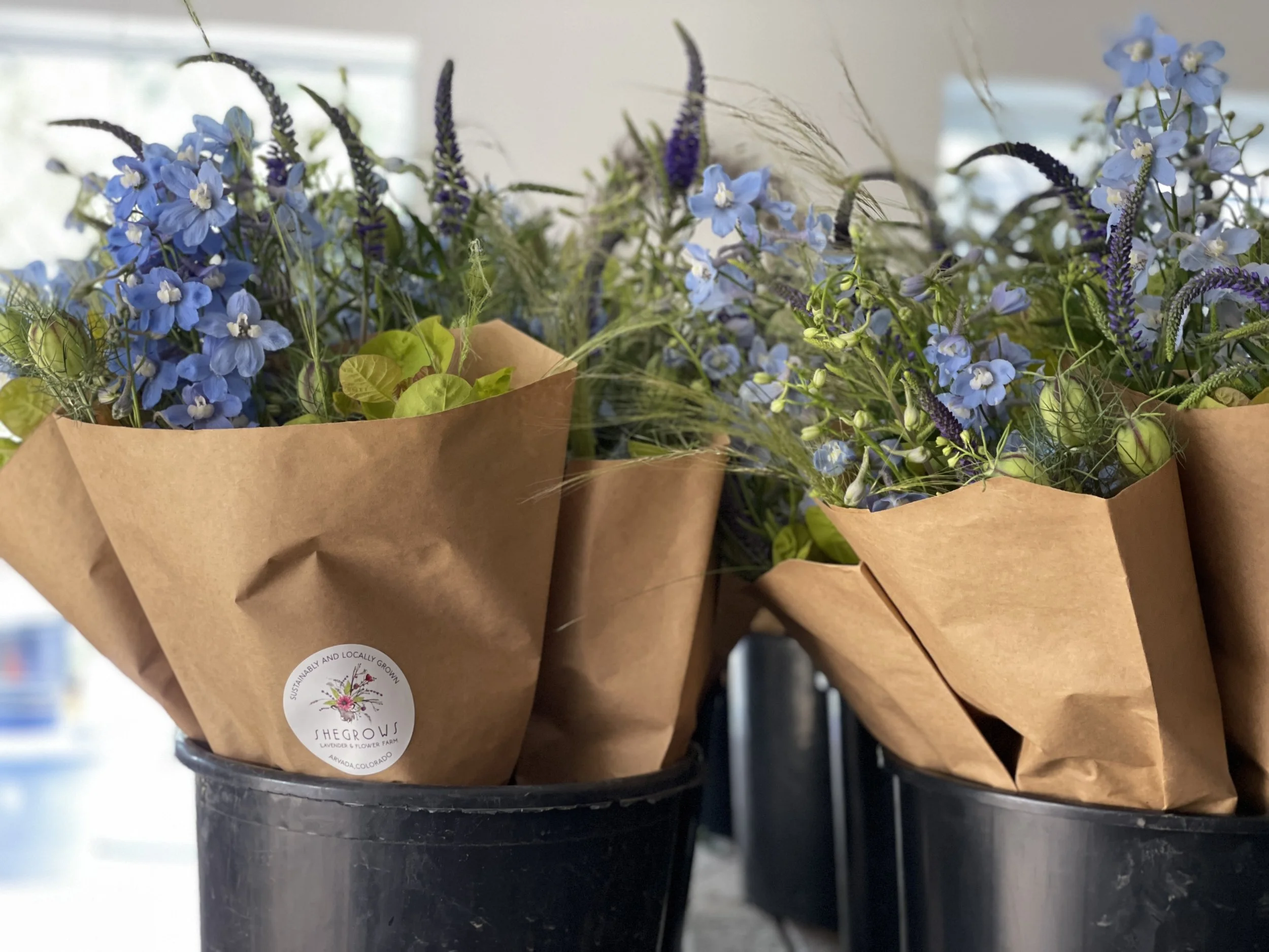 5 Fears in Starting a CSA