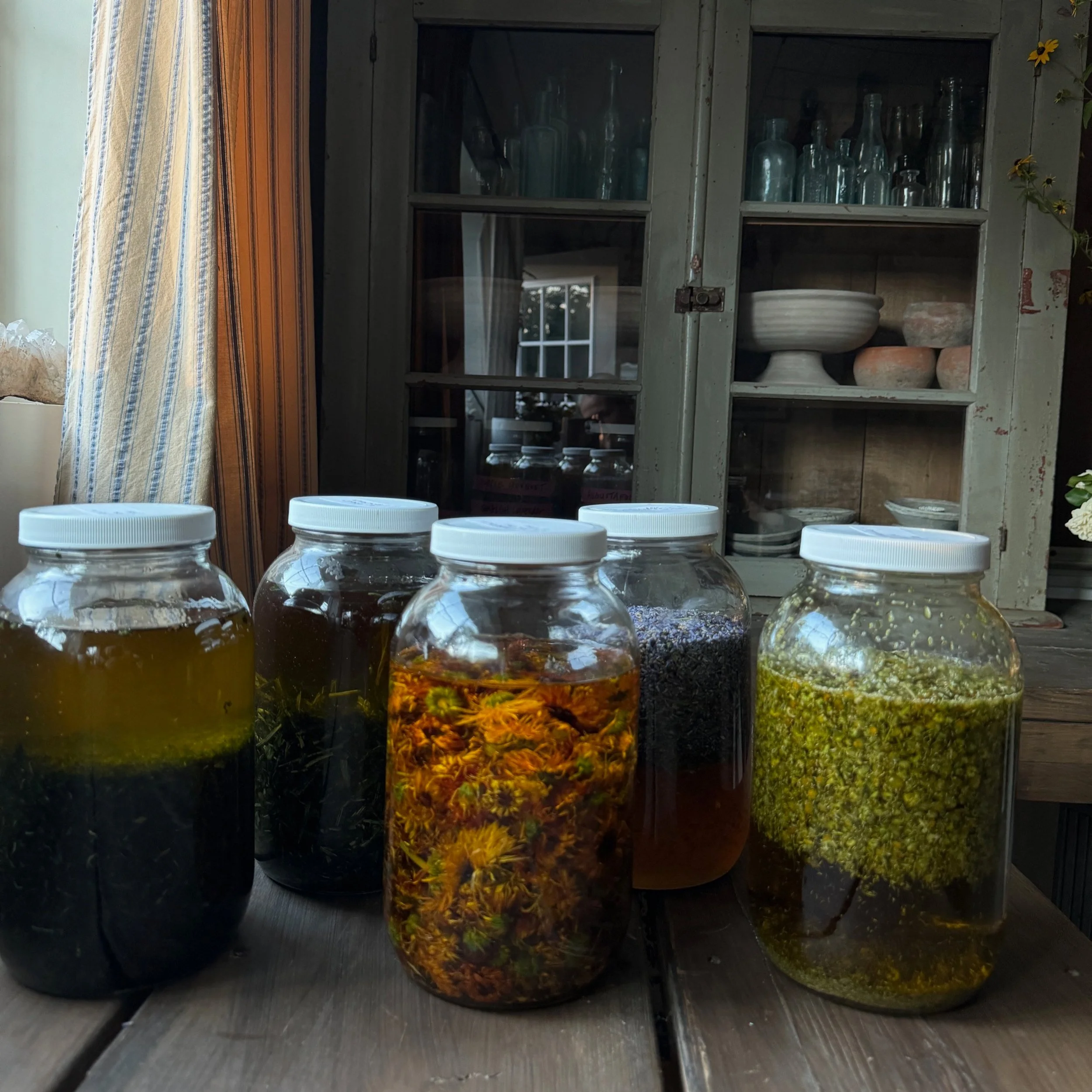 Preserving Summer Flowers