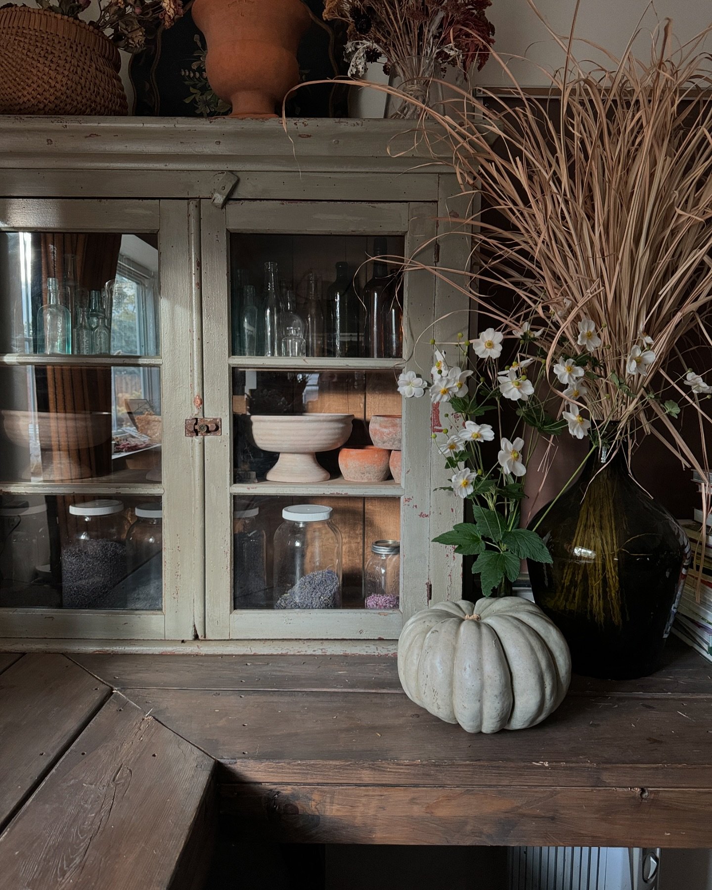 Today at lunch, Rodman said&hellip;&rdquo;look at you, your hands are stained with raspberries juice and your setting a mouse trap. How did you get here?&rdquo; 

1. An heirloom pumpkin from Janice 
2. Fall landscape garden coming into bloom
3. JJ sp