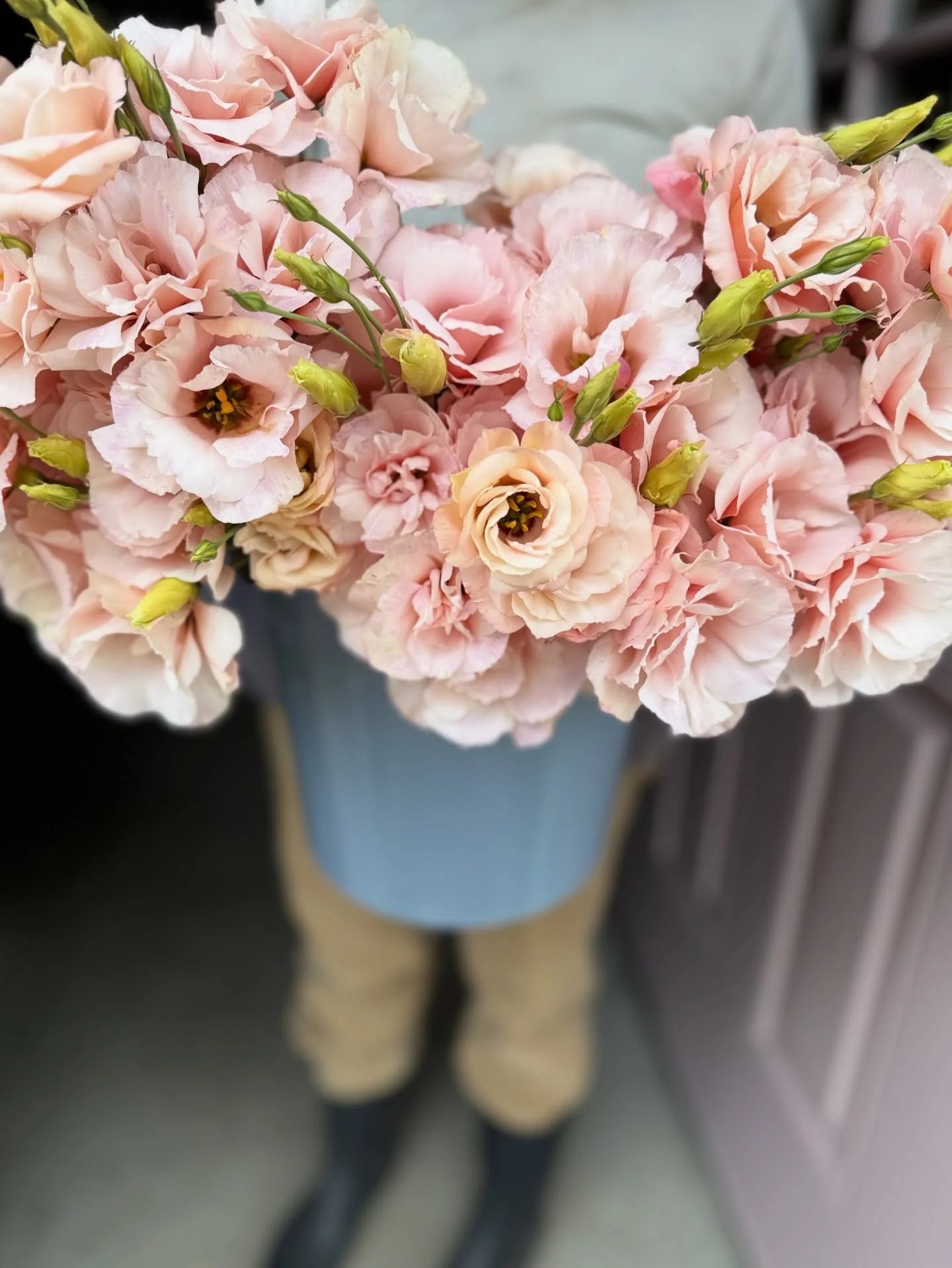 The most beautiful moment of the day&mdash;may it remind you to harvest the good in your life. Don&rsquo;t let it rot in the garden, dry on the vine, or go to seed early because you don&rsquo;t want the moment to pass&hellip;..Because it will. Believ