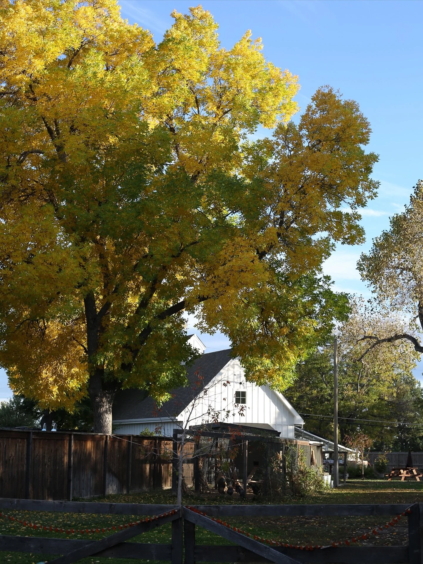 Gleaning is an old agricultural tradition where farmers would leave crops on the edges of their fields for community members in need to harvest. In the same spirit of this practice, we&rsquo;ve always held the Friday before the frost for this purpose