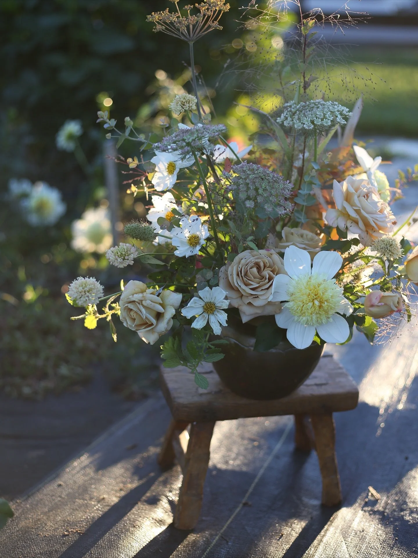 Our neighbor cut a hole in their fence and made a gate so she can come directly into the garden. She&rsquo;s got the best view. I wonder if she just comes in and is in awe of these cosmos or if she thinks it&rsquo;s a weedy jungle. #community #flower